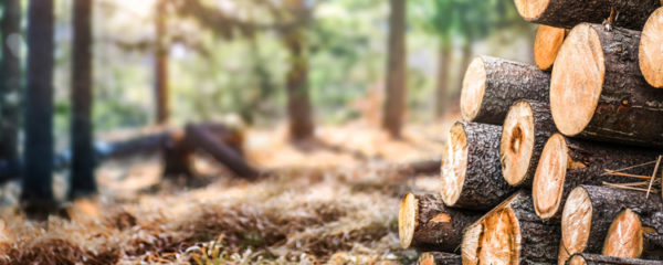 Stocker le bois de chauffage
